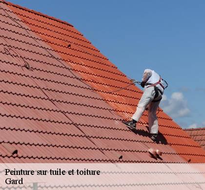 Peinture sur tuile et toiture Gard