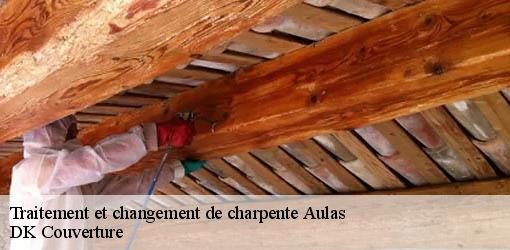 Traitement et changement de charpente  aulas-30120 DK Couverture 