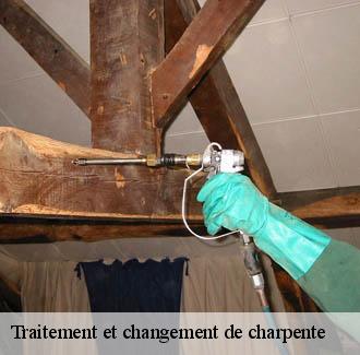 Traitement et changement de charpente  cruviers-lascours-30360 DK Couverture 