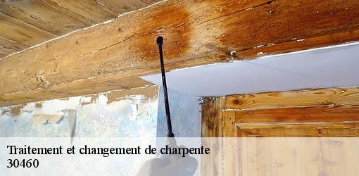 Traitement et changement de charpente lasalle-30460 DK Couverture