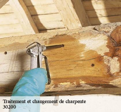 Traitement et changement de charpente 30200