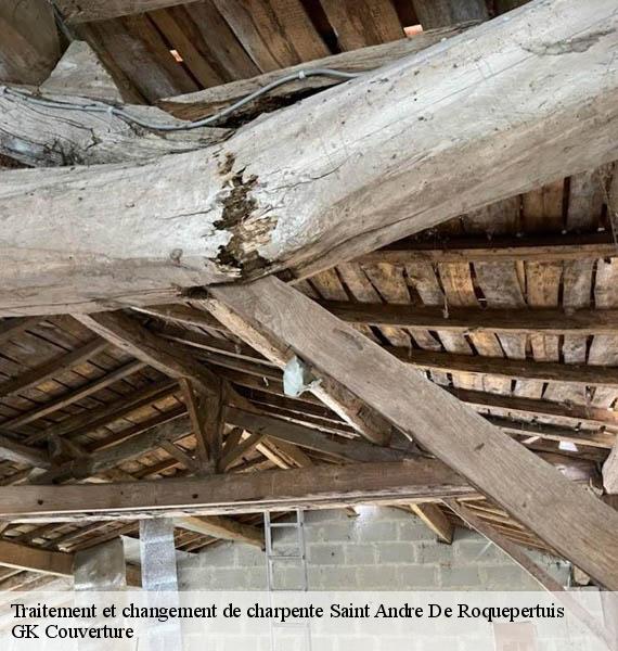 Traitement et changement de charpente saint-andre-de-roquepertuis-30630 GK Couverture