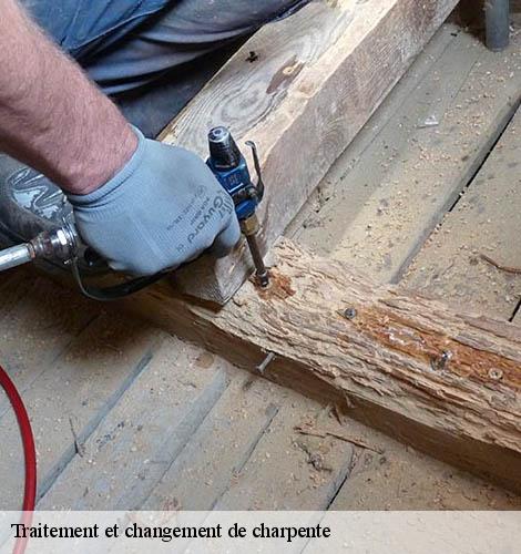 Traitement et changement de charpente  saint-julien-les-rosiers-30340 DK Couverture 