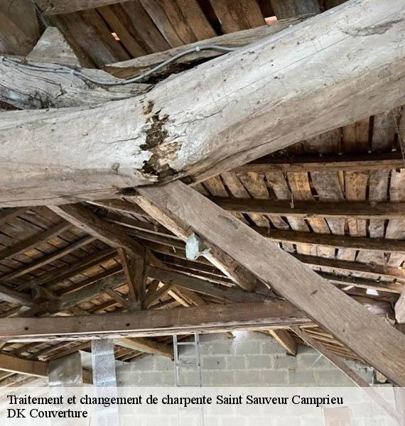 Traitement et changement de charpente  saint-sauveur-camprieu-30750 DK Couverture 