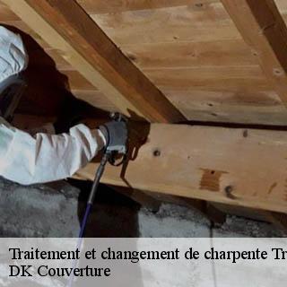 Traitement et changement de charpente  tresques-30330 DK Couverture 