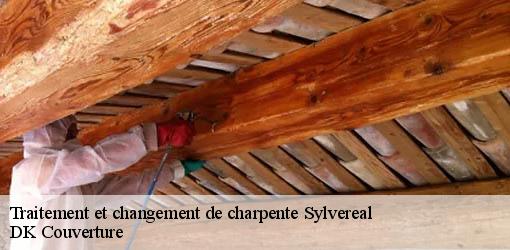 Traitement et changement de charpente  sylvereal-30600 DK Couverture 