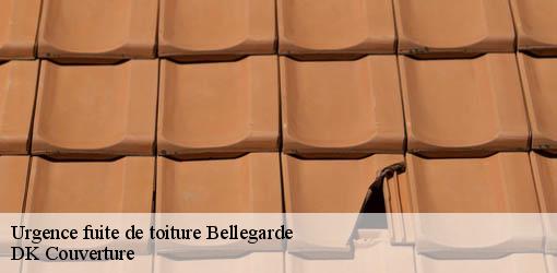 Urgence fuite de toiture bellegarde-30127 DK Couverture