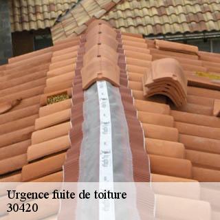 Urgence fuite de toiture calvisson-30420 DK Couverture