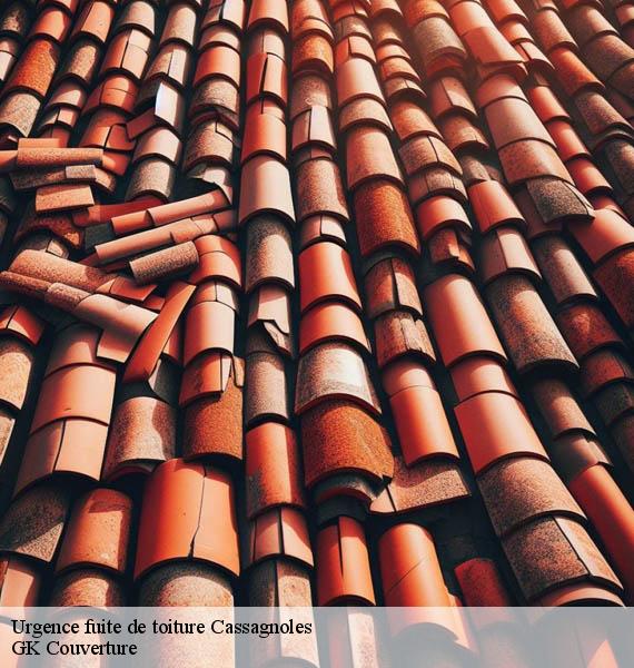 Urgence fuite de toiture cassagnoles-30350 GK Couverture