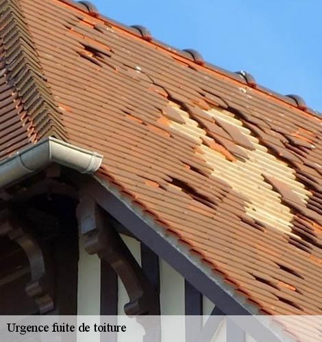 Urgence fuite de toiture cassagnoles-30350 GK Couverture