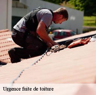 Urgence fuite de toiture