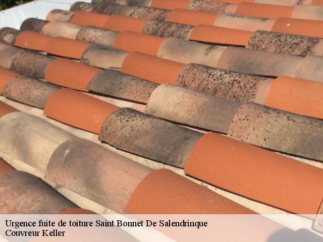 Urgence fuite de toiture  saint-bonnet-de-salendrinque-30460 Couvreur Keller