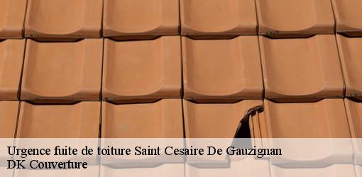 Urgence fuite de toiture  saint-cesaire-de-gauzignan-30360 DK Couverture 