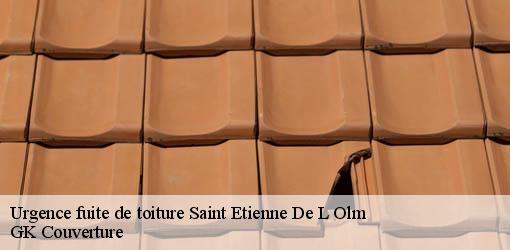 Urgence fuite de toiture saint-etienne-de-l-olm-30360 GK Couverture