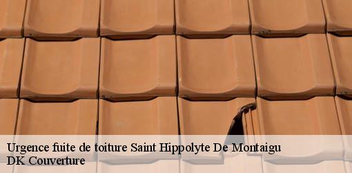 Urgence fuite de toiture  saint-hippolyte-de-montaigu-30700 DK Couverture 
