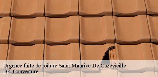 Urgence fuite de toiture  saint-maurice-de-cazevieille-30360 DK Couverture 
