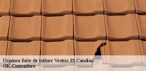 Urgence fuite de toiture vestric-et-candiac-30600 GK Couverture