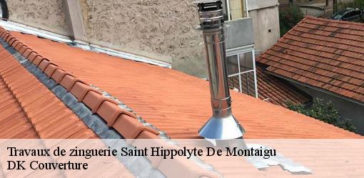Travaux de zinguerie  saint-hippolyte-de-montaigu-30700 DK Couverture 