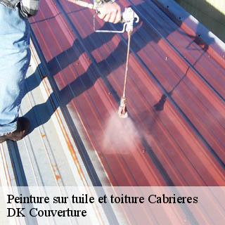Peinture sur tuile et toiture  cabrieres-30210 DK Couverture 