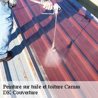 Peinture sur tuile et toiture  carnas-30260 DK Couverture 