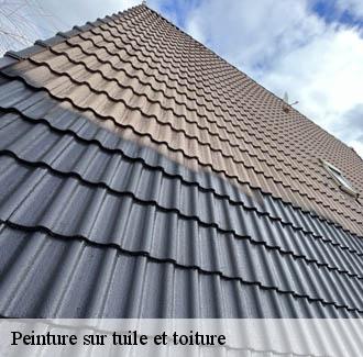 Peinture sur tuile et toiture  collias-30210 DK Couverture 