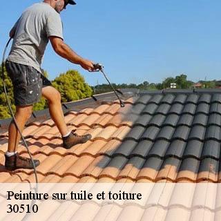 Peinture sur tuile et toiture generac-30510 GK Couverture