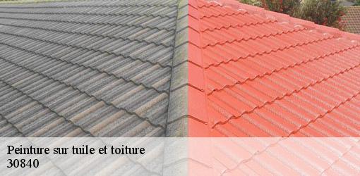 Peinture sur tuile et toiture meynes-30840 GK Couverture
