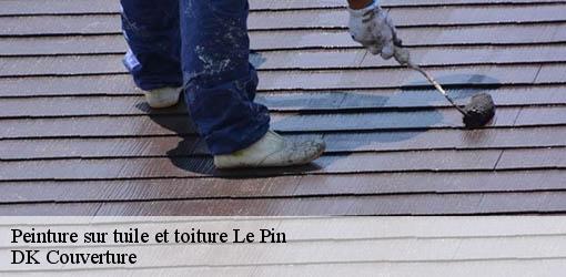 Peinture sur tuile et toiture  le-pin-30330 DK Couverture 