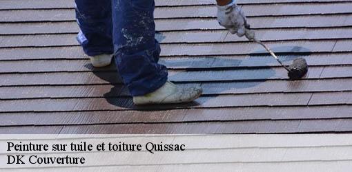 Peinture sur tuile et toiture  quissac-30260 DK Couverture 