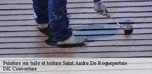 Peinture sur tuile et toiture  saint-andre-de-roquepertuis-30630 DK Couverture 