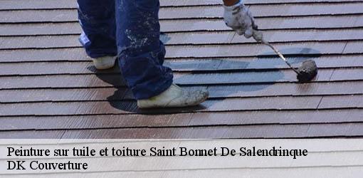 Peinture sur tuile et toiture saint-bonnet-de-salendrinque-30460 DK Couverture