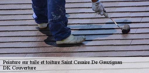 Peinture sur tuile et toiture saint-cesaire-de-gauzignan-30360 DK Couverture