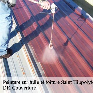 Peinture sur tuile et toiture  saint-hippolyte-de-caton-30360 DK Couverture 