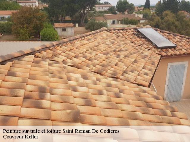 Peinture sur tuile et toiture  saint-roman-de-codieres-30440 Couvreur Keller