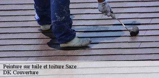 Peinture sur tuile et toiture  saze-30650 DK Couverture 
