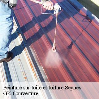 Peinture sur tuile et toiture seynes-30580 GK Couverture