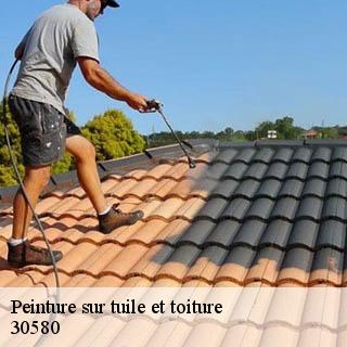 Peinture sur tuile et toiture seynes-30580 GK Couverture