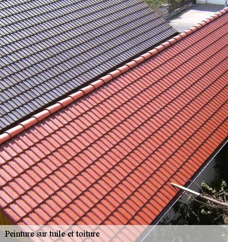 Peinture sur tuile et toiture seynes-30580 GK Couverture