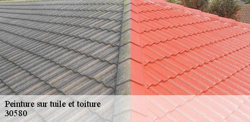 Peinture sur tuile et toiture seynes-30580 GK Couverture