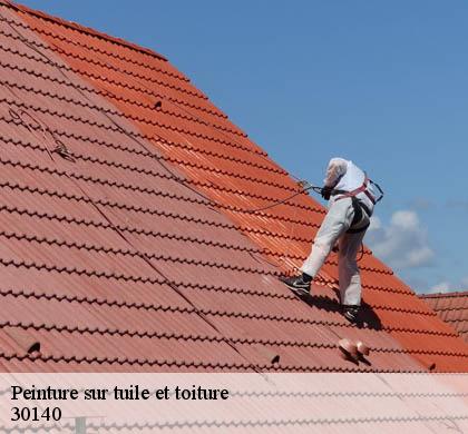 Peinture sur tuile et toiture tornac-30140 DK Couverture