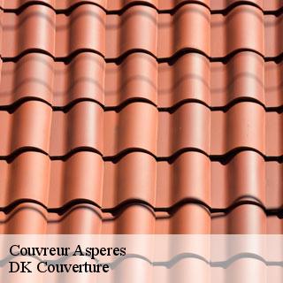 Couvreur  asperes-30250 DK Couverture 