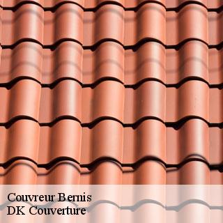 Couvreur  bernis-30620 DK Couverture 