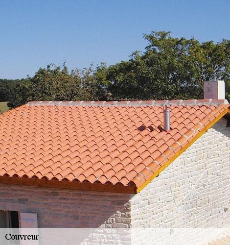 Couvreur  blauzac-30700 DK Couverture 