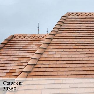 Couvreur  euzet-30360 DK Couverture 