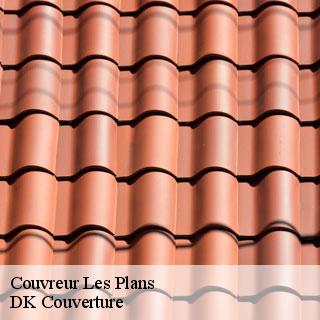 Couvreur  les-plans-30340 DK Couverture 
