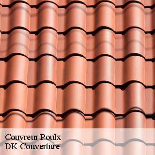 Couvreur  poulx-30320 DK Couverture 