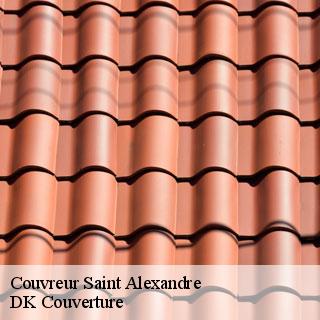 Couvreur  saint-alexandre-30130 DK Couverture 