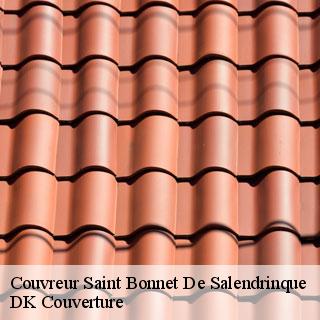 Couvreur saint-bonnet-de-salendrinque-30460 DK Couverture