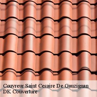 Couvreur saint-cesaire-de-gauzignan-30360 DK Couverture