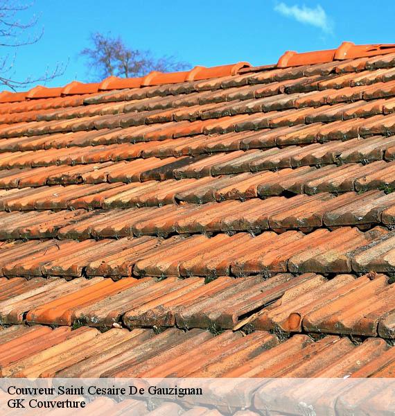 Couvreur saint-cesaire-de-gauzignan-30360